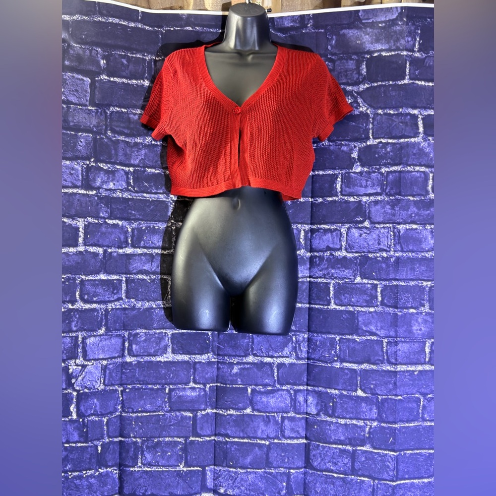 New York & Company Red Crop Top